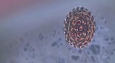 Smrteľný vírus bude liečiť rakovinu