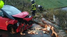 Búrlivý vietor lámal stromy v Bratislavskom kraji. V Chorvátskom Grobe odletela strecha školy