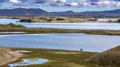 Na Islande sú v šoku. Na ostrove sa objavil hmyz, ktorý tam nikdy nevideli