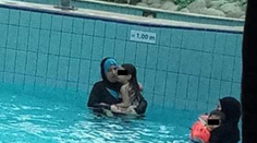 Zahalené moslimky v pražskom aquaparku poriadne nahnevali Čechov: Vedenie ich bráni