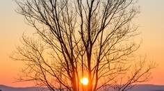 Užijeme si poriadnu dávku slnka. Cez víkend príde ďalšia prudká zmena