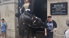 VIDEO: Kôň kráľovskej gardy uhryzol turistku, po chvíli sa zložila k zemi