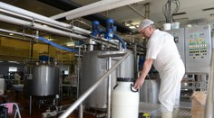 Obrovská investícia na východe Slovenska: Stavajú novú továreň na výrobu syrov