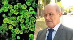 Prečo napadla mozgožravá améba len jedného chlapca (†11)? Parazitológ vysvetľuje možnú „záhadu“