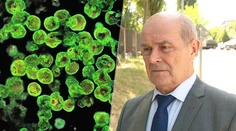 Prečo napadla mozgožravá améba len jedného chlapca (†11)? Parazitológ vysvetľuje možnú „záhadu“
