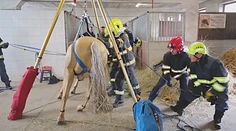 Keď kôň či krava skončia v šachte, začína sa boj s časom. Hasiči nacvičovali špeciálne postupy