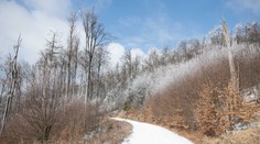 V niektorých častiach Slovenska poriadne prituhne. Meteorológovia vydali výstrahy pred poľadovicou (MAPA)