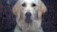 Predpoveď, ktorá mnohých nepoteší. Dokedy bude snežiť?