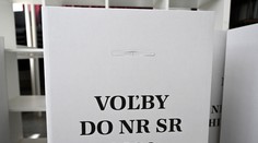 Volebný manuál: Ako voliť, aby váš hlas neprepadol? O krúžkovaní koluje jeden mýtus