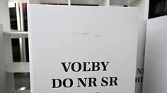 Volebný manuál: Ako voliť, aby váš hlas neprepadol? O krúžkovaní koluje jeden mýtus