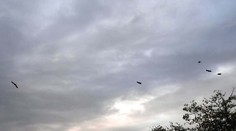 Obloha nad Slovenskom bude pár dní šedá až žltkastá. Odborníci vysvetlili dôvod