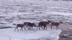 Toto video "valcuje" Facebook