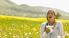 Vedeli ste, že alergici majú problém so zvládaním stresu?