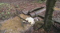 Situácia je vážna a únik PCB látok mali čo najskôr zastaviť. Ani po mesiacoch sa nič nezmenilo