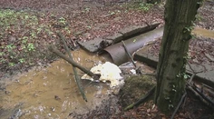 Situácia je vážna a únik PCB látok mali čo najskôr zastaviť. Ani po mesiacoch sa nič nezmenilo