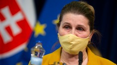 Epidemiologička: Testovanie má zmysel, ale tímy by sa mali stiahnuť len do rizikových oblastí