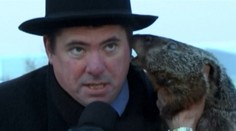 Starosta vs. svišť: Príhovor na Deň svišťov nevyšiel podľa plánu