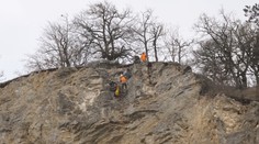 Unikátny projekt v lome na Záhorí. Jeden z našich najvzácnejších vtákov tam dostal luxusné obydlie