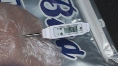 Jahodovo-rebarborová výživa