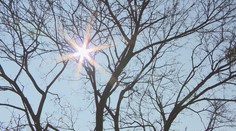 Slovensko zažíva nezvyčajnú jar plnú teplého počasia. Ovocinári a včelári sa však pripravujú na najhoršie