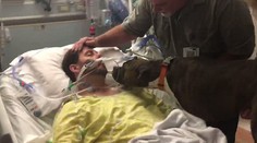 Video, z ktorého sa tisnú slzy do očí. S umierajúcim mladíkom sa lúči jeho pes