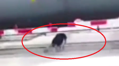 Toto nikdy nerobte! Šialenec podliezal idúci vlak