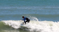Fotografovi sa podarila unikátna fotka. Pozrite, kto mu skočil do záberu