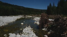 Rieka v strede štátnej hranice rozdeľuje po záplavách našich a poľských ochranárov