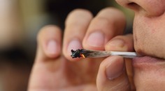 Štvrtina Slovákov má skúsenosti s marihuanou, pribúda počet abstinentov