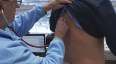 Záhadný zápal pľúc môžu prenášať aj domáci miláčikovia. Príznaky sú nejasné, na liečbu treba antibiotiká