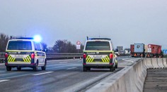 Tragédia na nemeckej diaľnici: Muž chcel chytiť psa inej vodičky, zrazili ho dve autá