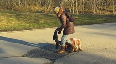 Útok dvoch psov pri Trnave mal aj pozitívnu bodku. Doráňaného psíka našli po 24 hodinách