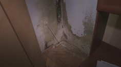 Vlhkosť ako v teráriu. Obyvatelia bytovky sa pre plesnivé steny roky naťahujú so staviteľom