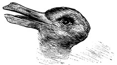 Je viac ako 120 rokov od tejto snímky. Vidíte zajaca alebo kačku?