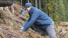 „Fero a Šaňo rastú v lese.“ Dobrovoľníci vysadili tisíce stromčekov v Nízkych Tatrách a vytvorili rekord