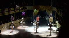 Plesová sezóna sa blíži: Rýchly návod, ako si neurobíte trapas