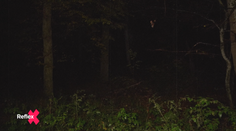 Tajomný chodník Tribečom