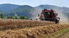 Európa bude prehodnocovať pomoc Ukrajine cez clá, Slovensko sa postaví proti úľavám. Farmári rozhodnutie vítajú