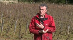 Vinárovi hrozí väzenie. Dôvod je absurdný – odmietol postrek