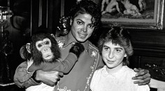 Keď ho Jackson odvrhol, pokúsil sa o samovraždu. Príbeh šimpanza Bubblesa je plný bolesti