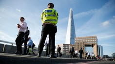 Po útoku pred Buckinghamským palácom zatkli ďalšieho muža