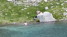 VIDEO: Zaplával si v plese a spokojne sa vrátil na breh. Video z Tatier poburuje ľudí
