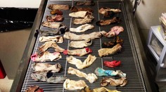 Žalúdok dánskej dogy skrýval takmer 44 ponožiek