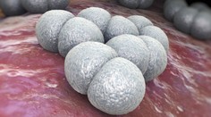 V okrese Veľký Krtíš umrelo dvojmesačné dieťa na meningokokovú infekciu