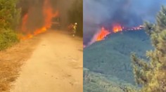 „Lesy sú ako sud s pušným prachom.“ Hasiči vo Španielsku bojujú s obrovským požiarom, zničil vyše 500 hektárov pôdy