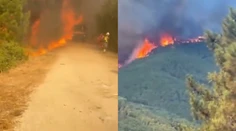 „Lesy sú ako sud s pušným prachom.“ Hasiči vo Španielsku bojujú s obrovským požiarom, zničil vyše 500 hektárov pôdy