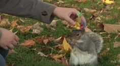 Zo dňa na deň sa z jednoduchého nápadu stala svetová senzácia