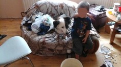 Vystrašený chlapec volal z okna matku. Policajti boli zhrození, čo našli v byte