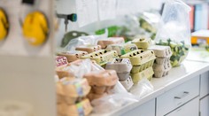 Kontaminované vajcia už aj na Slovensku. Firma sa bráni a tvrdí, že všetko je inak