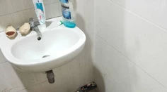 Ženu prekvapil na toalete had. S tvorom musela zviesť krvavý súboj